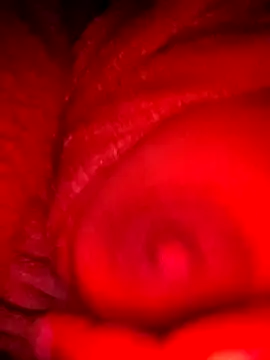 bestfriend-shikha online show from 5, 2, 2025