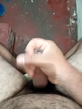 HotC1991 online show from 24, 2, 2026