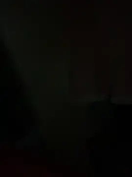 PINO pino 01 online show from 12, 11, 2025