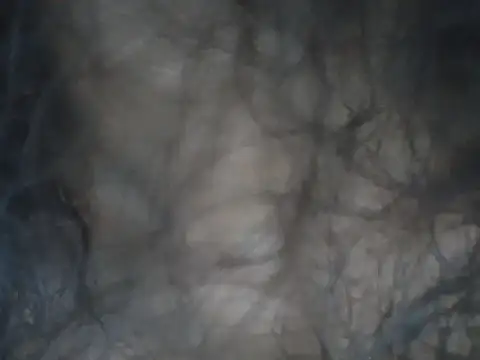 alexiaross96 online show from 13, 3, 2026