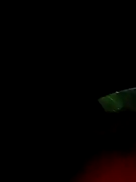 Snapshot of ginger_1_1 chatting on 18, 3, 2025 ginger 1 1 online show from 18, 3, 2025