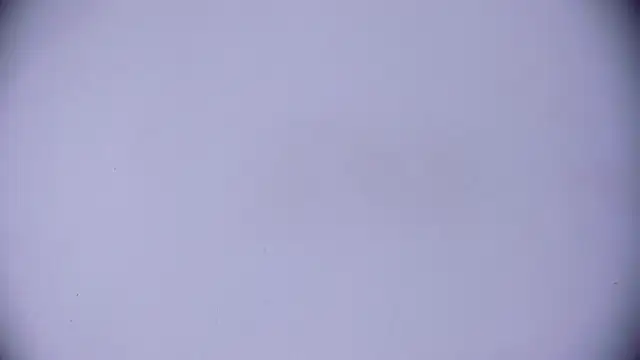 Ashlyaurora online show from 20, 3, 2025