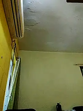 crazyfreaking online show from 17, 2, 2025