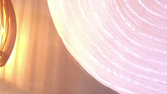 Snapshot of lissa_palmer chatting on 30, 11, 2025 lissa palmer online show from 30, 11, 2025