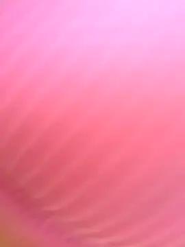 Dulce  Boyd online show from 11, 11, 2025