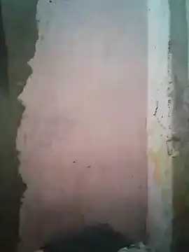 shuelldin online show from 16, 2, 2025