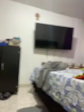 Carola-Ross online show from 1, 3, 2026