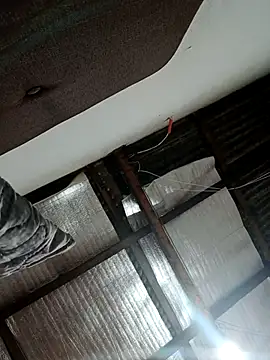 alansex 19 online show from 25, 10, 2025