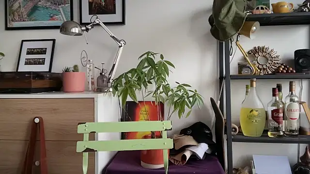 MikymikeBBWD online show from 22, 11, 2025