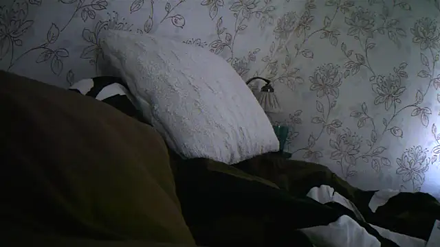 Snapshot of Teemu chatting on 27, 9, 2025 Teemu online show from 27, 9, 2025