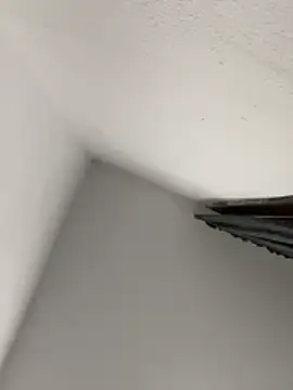 morfeoX online show from 18, 4, 2026