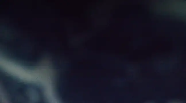 goldiwets online show from 12, 3, 2025