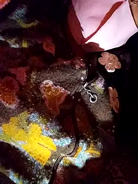 Snapshot of PPP_25 chatting on 14, 11, 2025 PPP 25 online show from 14, 11, 2025