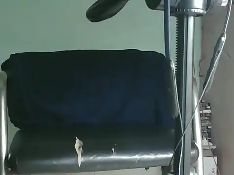 Snapshot of PreetyKitten chatting on 8, 11, 2025 PreetyKitten online show from 8, 11, 2025