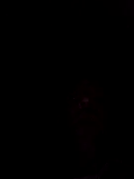 Nidge251 online show from 7, 3, 2026