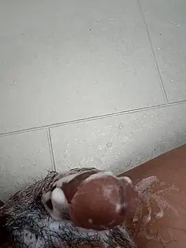 Snapshot of Tyaniks chatting on 30, 9, 2025 Tyaniks online show from 30, 9, 2025