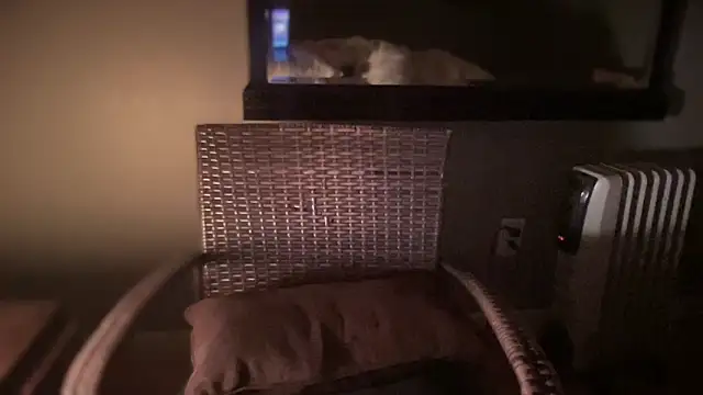 Snapshot of DominantDong chatting on 28, 2, 2025 DominantDong online show from 28, 2, 2025