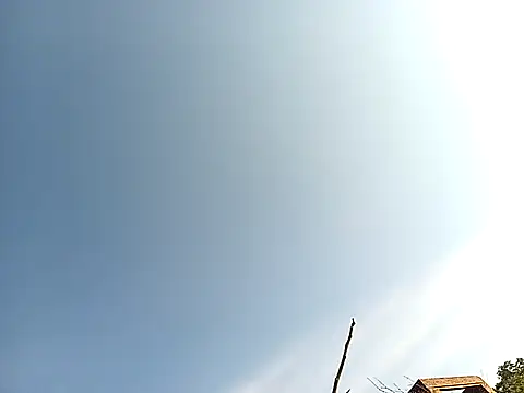 lilpip online show from 27, 11, 2025