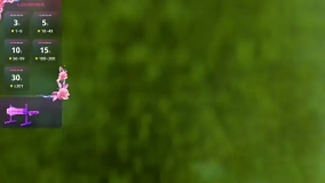 Ivaannaa  online show from 4, 2, 2026