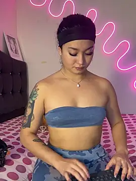 sloppy cat online show from 17, 2, 2026