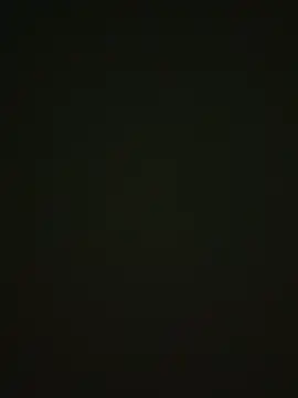 Snapshot of 464a-err chatting on 12, 11, 2025 464a-err online show from 12, 11, 2025