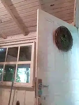 Fellyna online show from 3, 10, 2025