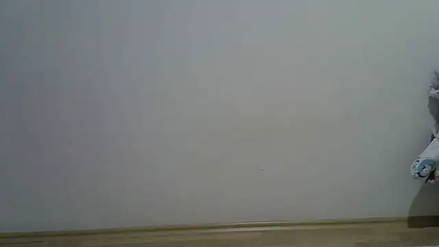 Snapshot of _SeMiHH_ chatting on 10, 11, 2025 SeMiHH online show from 10, 11, 2025