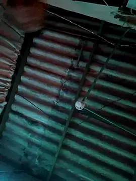 frankli2681 online show from 13, 2, 2026