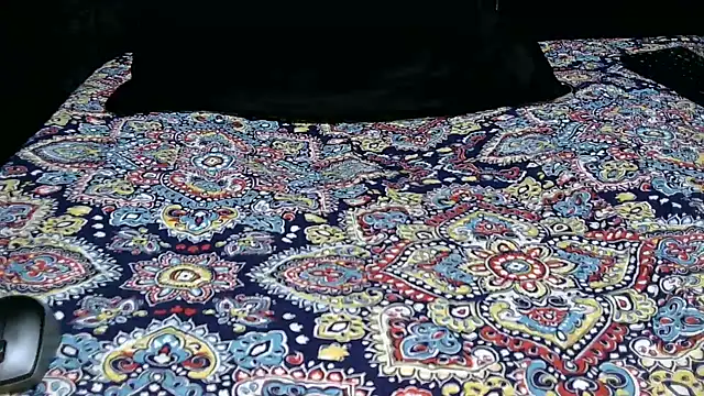 Novata online show from 16, 11, 2025