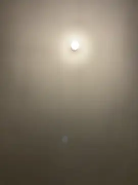 1Zoey101 online show from 2, 4, 2026