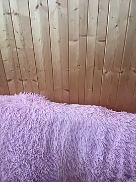 nemesidaM online show from 14, 2, 2026