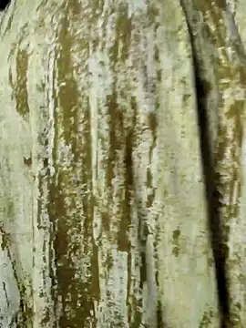 Snapshot of mens_weakness chatting on 2, 11, 2025 mens weakness online show from 2, 11, 2025