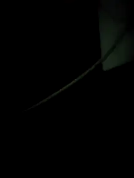 Snapshot of enoc369 chatting on 4, 12, 2025 enoc369 online show from 4, 12, 2025