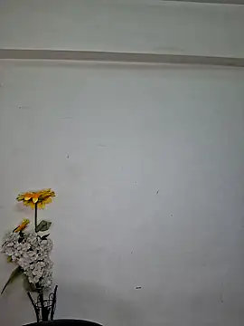 Noor-Bold online show from 7, 11, 2025