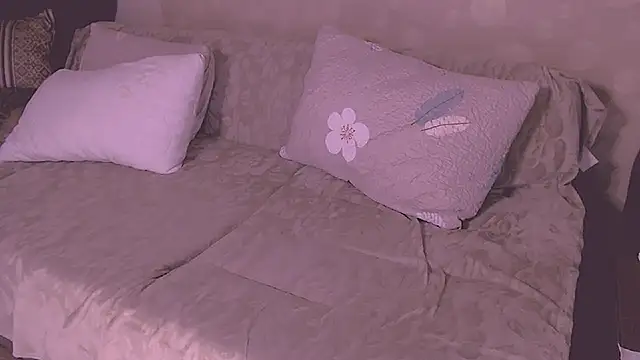 Snapshot of SoftLia chatting on 24, 5, 2026 SoftLia online show from 24, 5, 2026