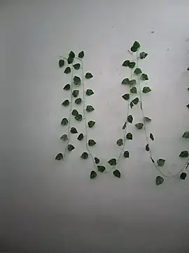 Snapshot of Neha-Bhabhi-Rasily chatting on 17, 12, 2025 Neha-Bhabhi-Rasily online show from 17, 12, 2025