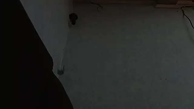 PrimordialChill6 online show from 6, 4, 2026