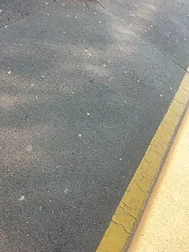 sohasenki online show from 4, 4, 2026