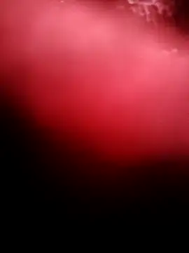 Snapshot of punam259 chatting on 4, 12, 2025 punam259 online show from 4, 12, 2025