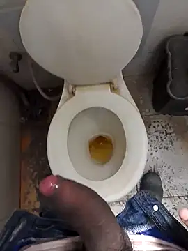 paugrosso553 online show from 27, 11, 2025