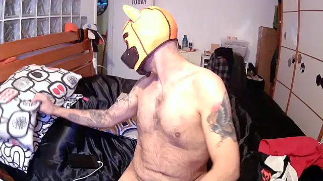 Snapshot of danix_wild_wolf chatting on 17, 12, 2025 danix wild wolf online show from 17, 12, 2025