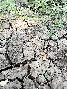 himvilohi08 online show from 1, 4, 2026