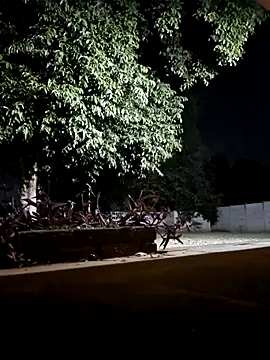 bakedsnackmmh online show from 19, 2, 2026