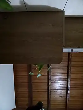 Sexi girl29 online show from 2, 10, 2025