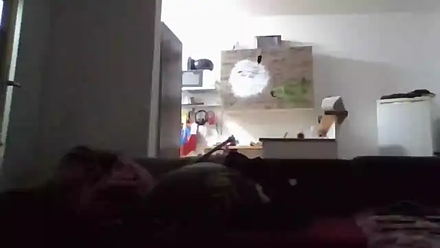 ThePython666 online show from 17, 11, 2025