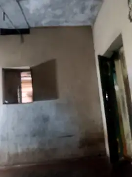 PolarFriend0 online show from 17, 2, 2026