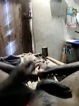 PolarFriend0 online show from 23, 2, 2026