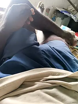 PolarFriend0 online show from 24, 2, 2026