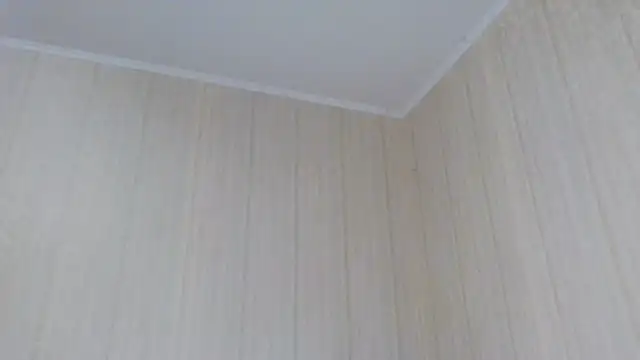  Black-Panther  online show from 2, 10, 2025