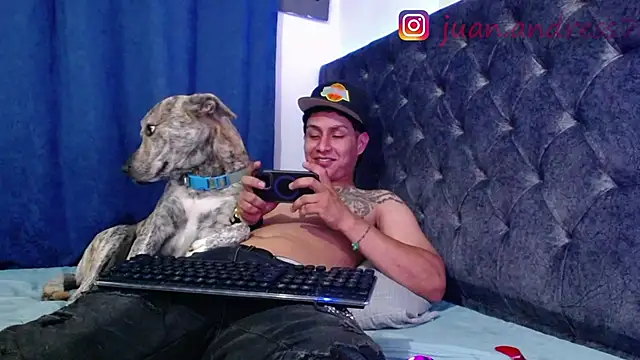 Stone grey1  online show from 17, 2, 2026